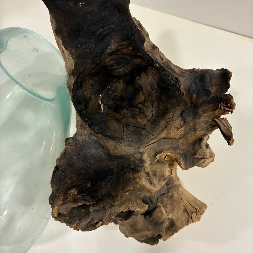 Atrium/Fishbowl Glass Teak Burl Wood Fishbowl/Airplant Display
Molten Glass - Picture 11 of 14